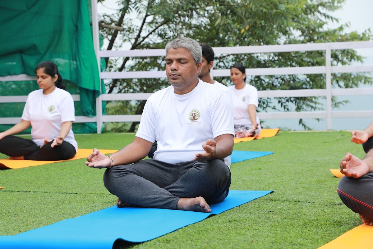 Monk Mind Wellness Resort