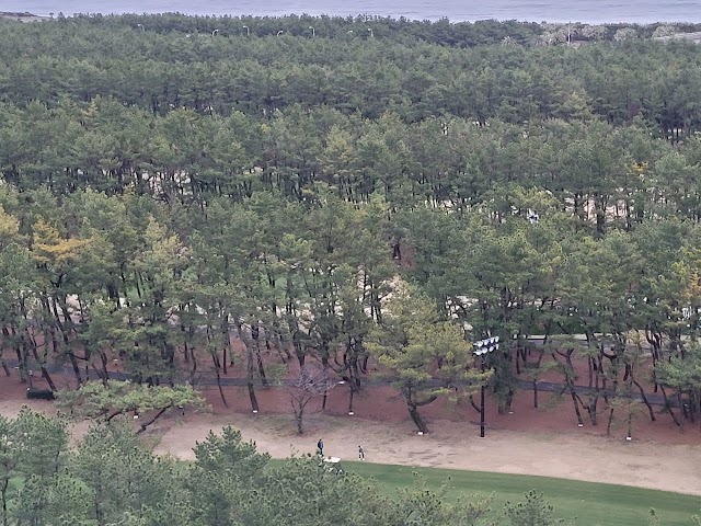 Tom Watson Golf Course - Photo 2
