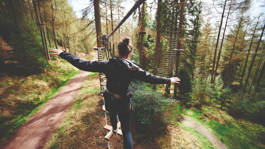 Go Ape Alice Holt