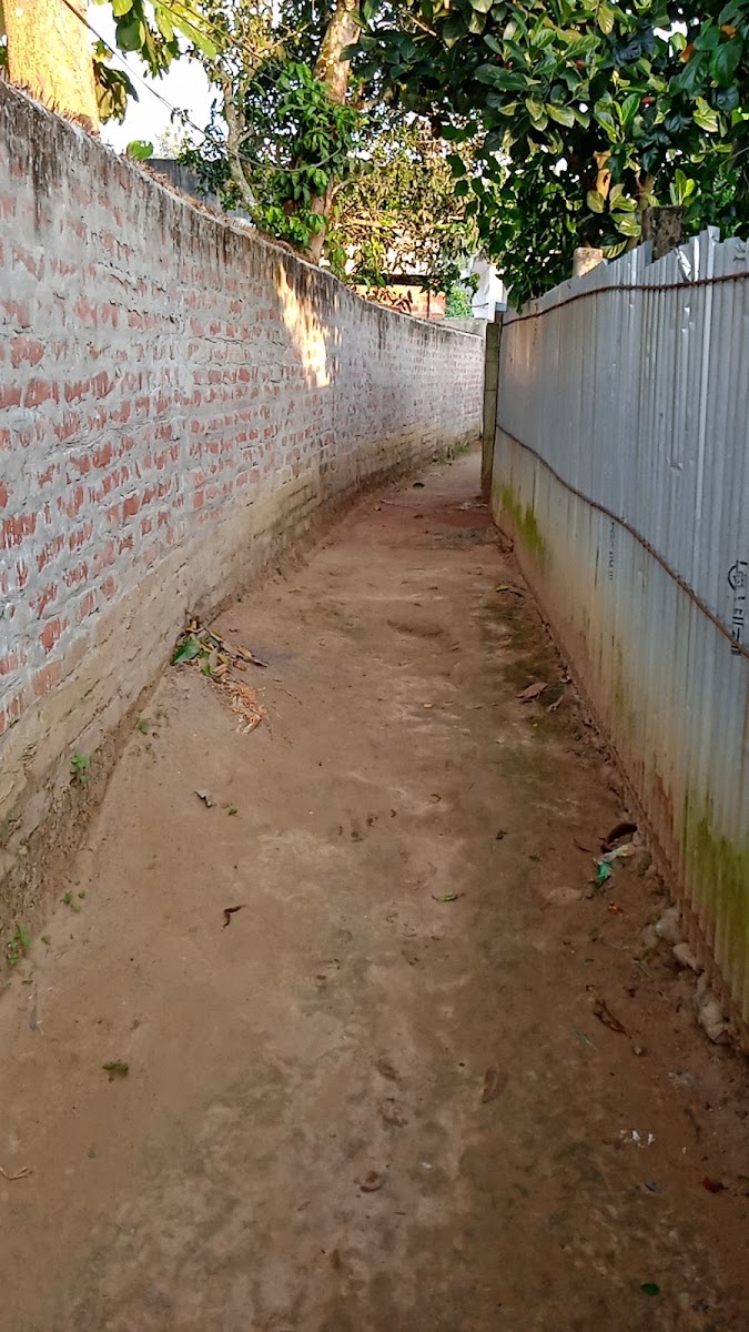 Anamika kutir photo 3