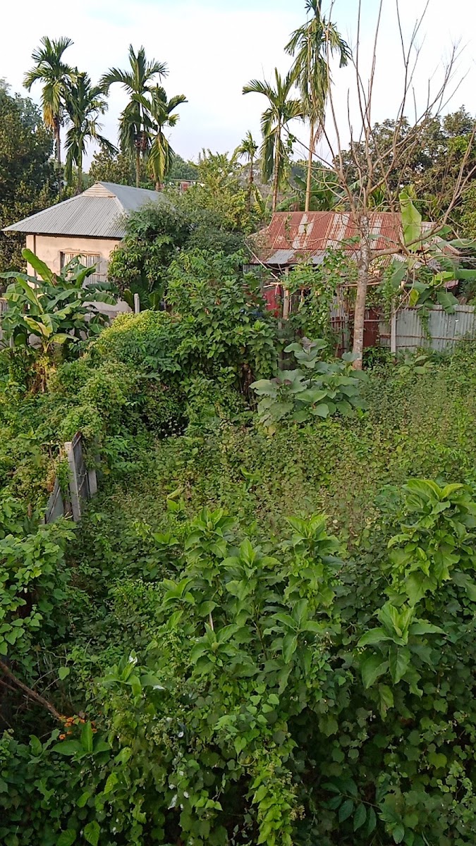 Anamika kutir photo 4