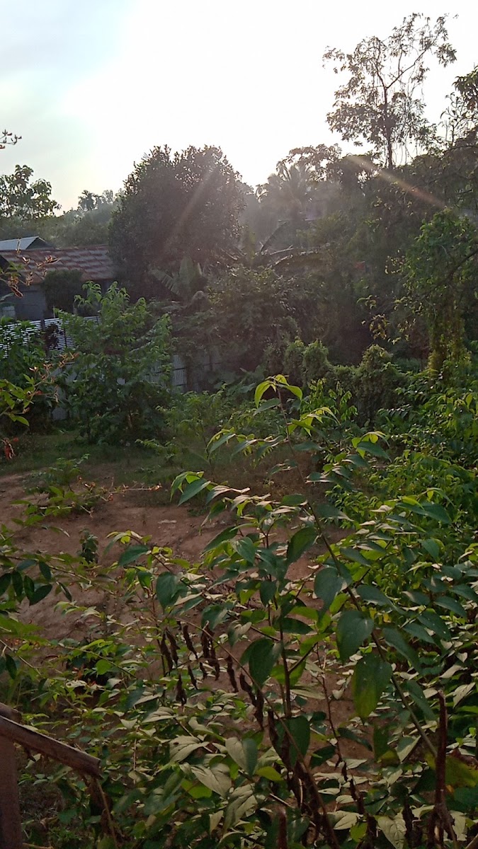 Anamika kutir photo 8