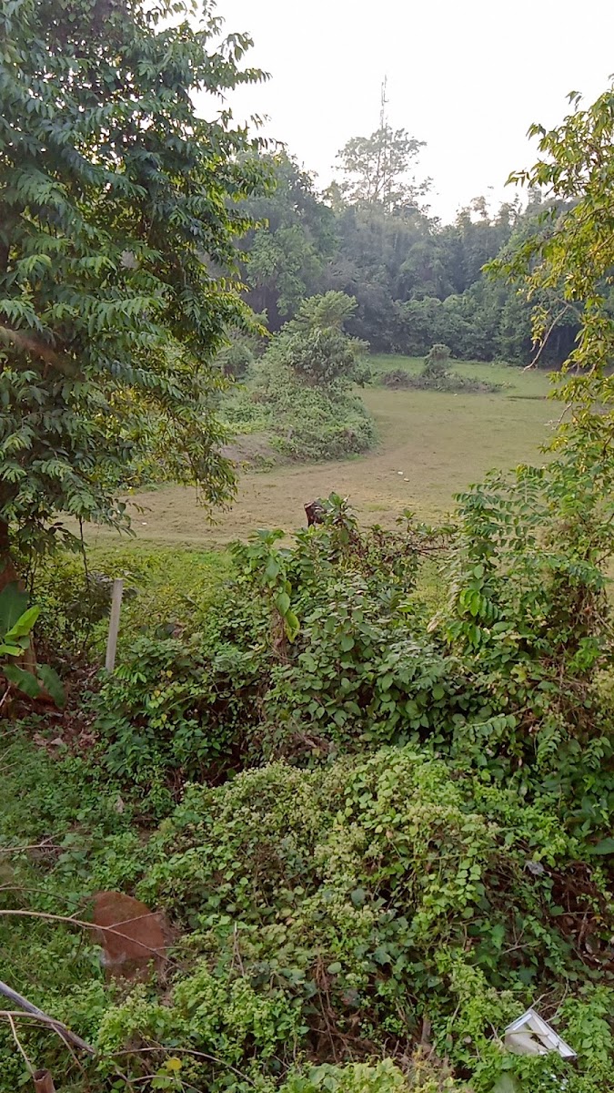 Anamika kutir photo 7