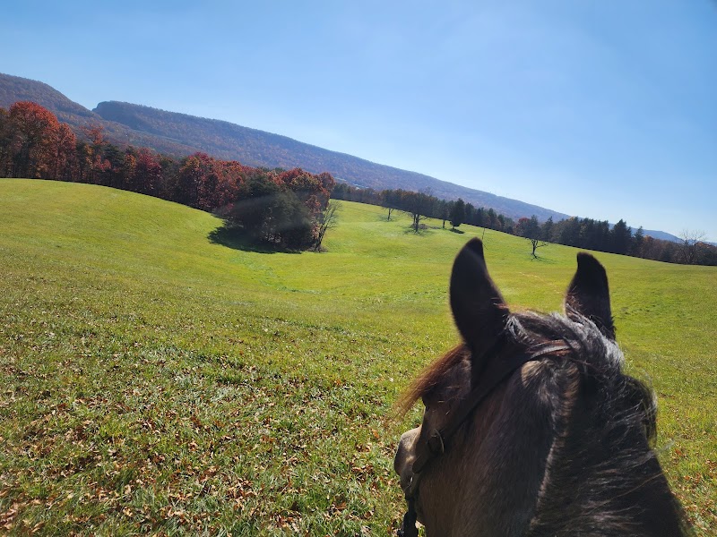 Valley Meadow Farms Bed & Barn - Photo 3