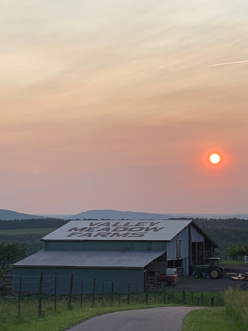 Valley Meadow Farms Bed & Barn - Photo 4