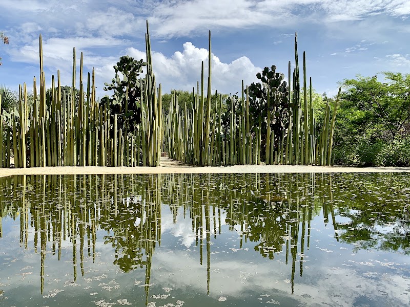 Jardín Etnobiológico de Oaxaca