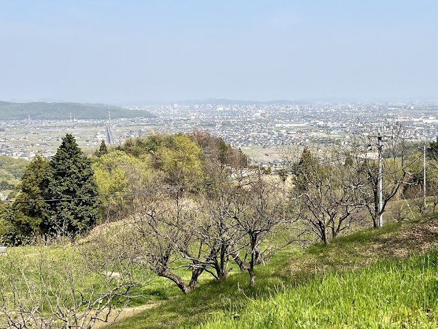 Kurashiki Country Club - Photo 3