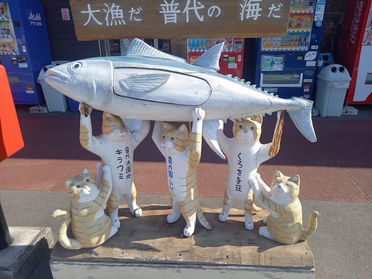 道の駅青の国ふだい