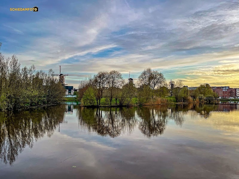 Nieuw-land Schiedam