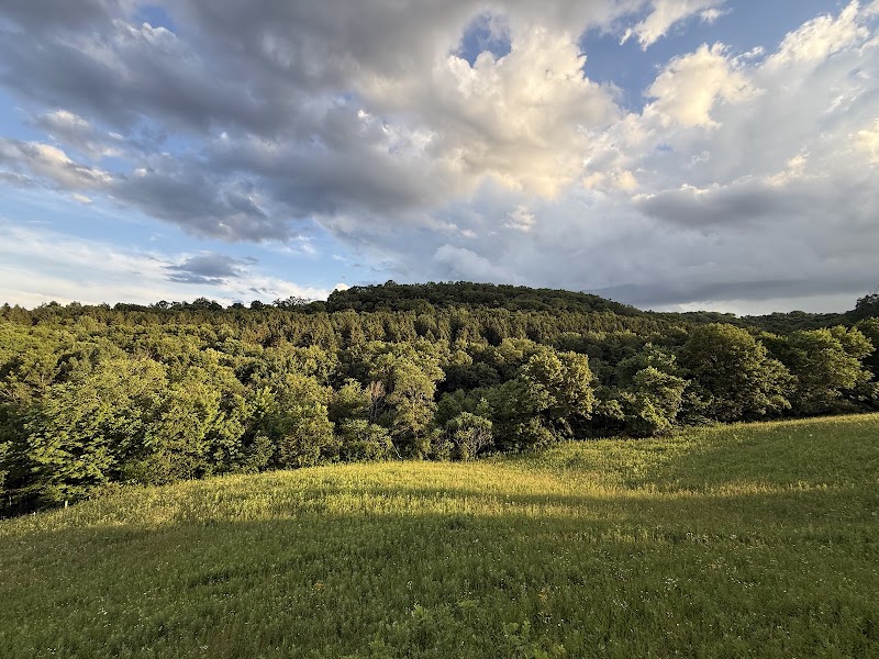 Kickapoo Valley Guest Cabins - Photo 4