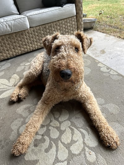 The Ark Pet Spa & Hotel - Red Bank