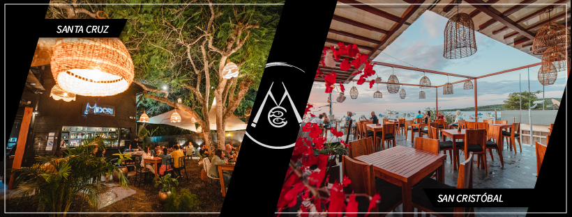 Midori in galapagos-islands