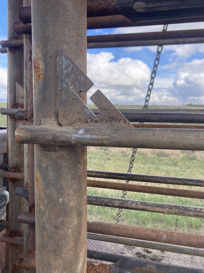 Rawhide Guns photo