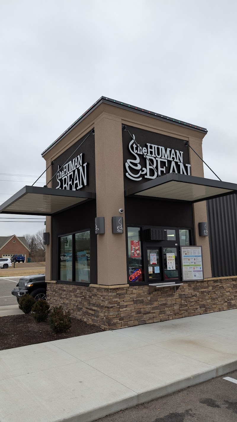 The Human Bean photo 4