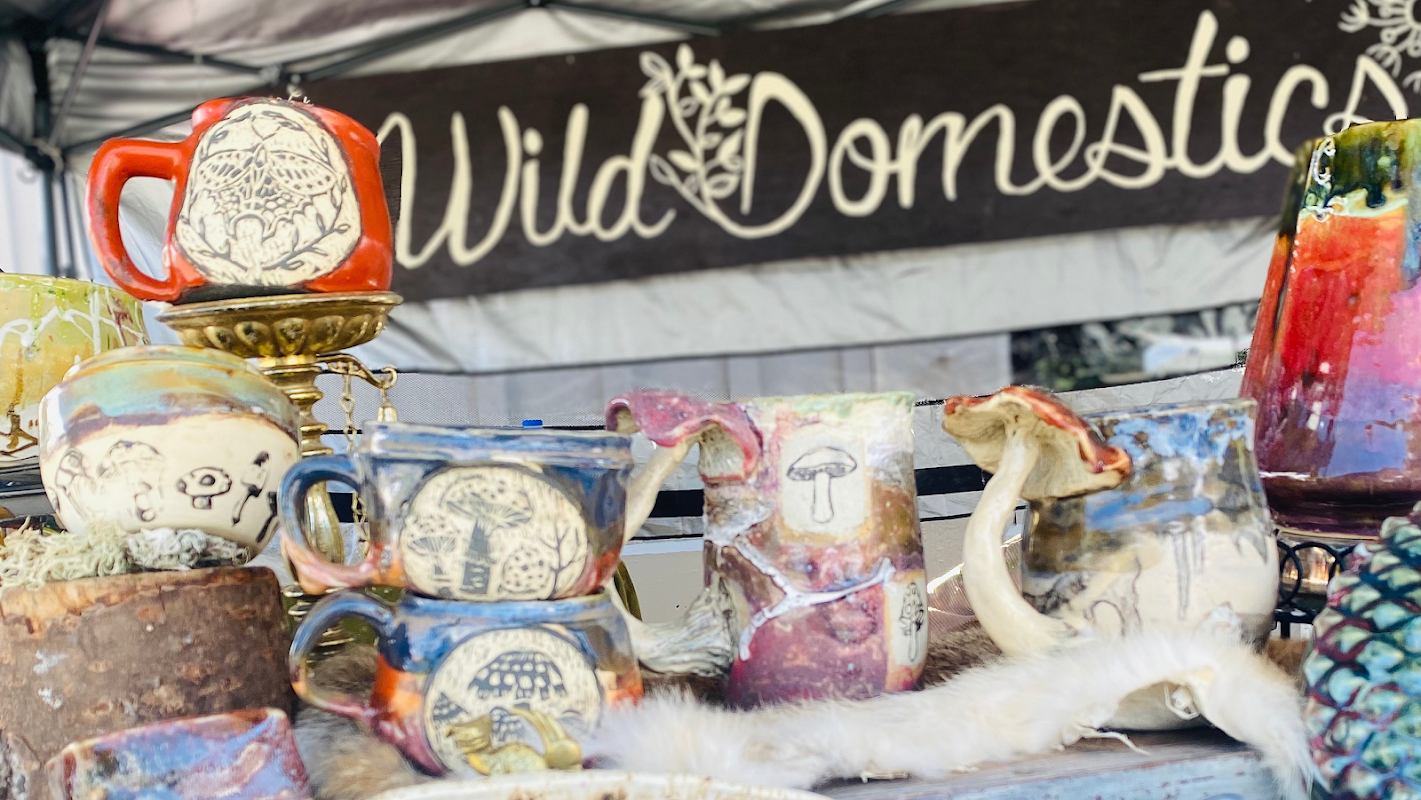 Wild Domestics Pottery