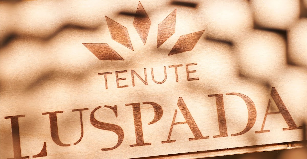 Tenute Lu Spada