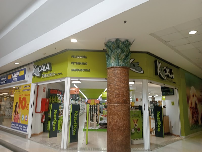 Koala Mascotas La Ballena