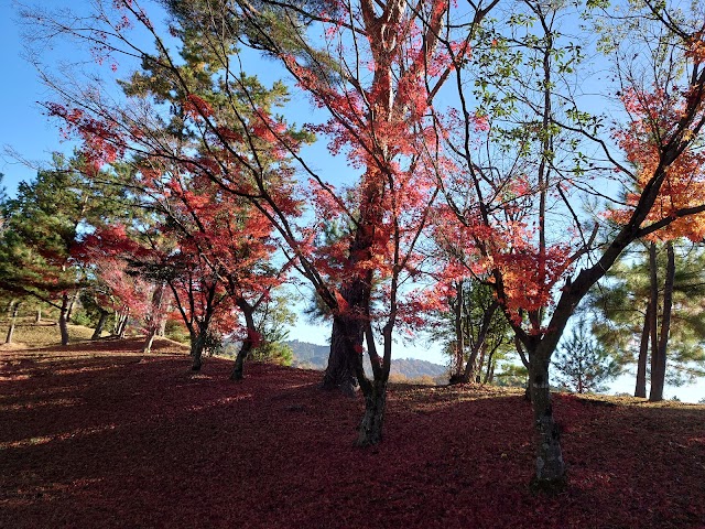 Omi Country Club - Photo 6
