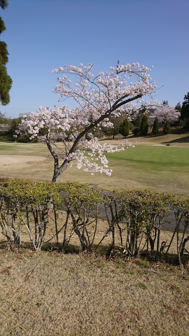 Omi Country Club - Photo 4
