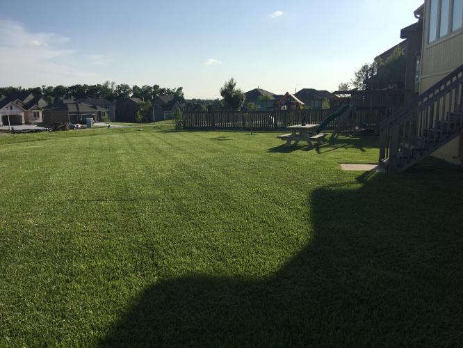 Triton Lawn