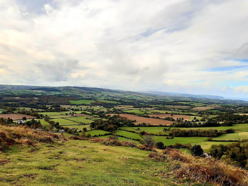 Triscombe Stone