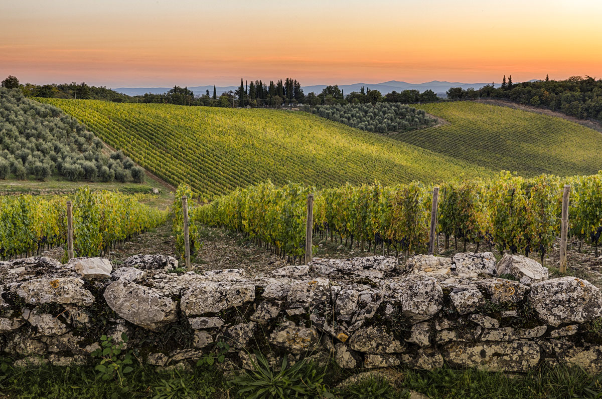 Castello di Ama