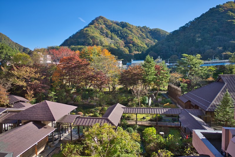 Hot Spring Resort Matsunoi