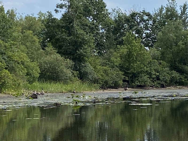 Deer Creek Marsh Wildlife Management Area - Photo 4