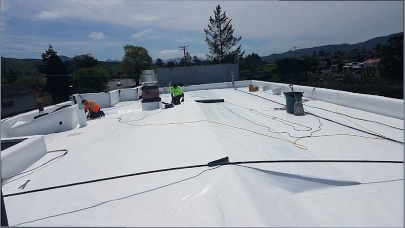 SF Roof Specialists photo 3