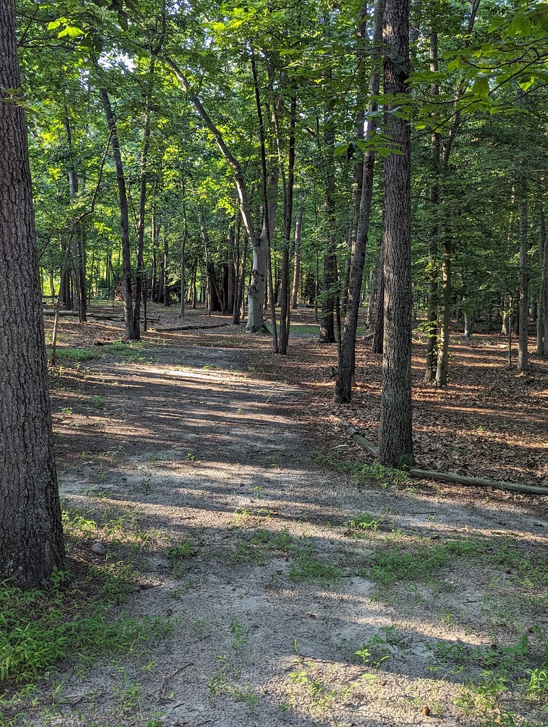 Whitaker Woods Private Disc Golf Course photo 4
