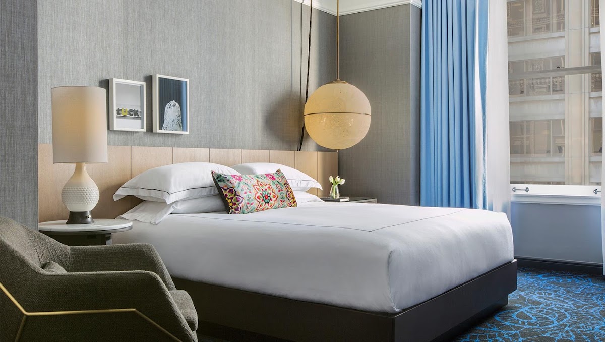 Kimpton Gray Hotel, dog-friendly hotel, photo 5