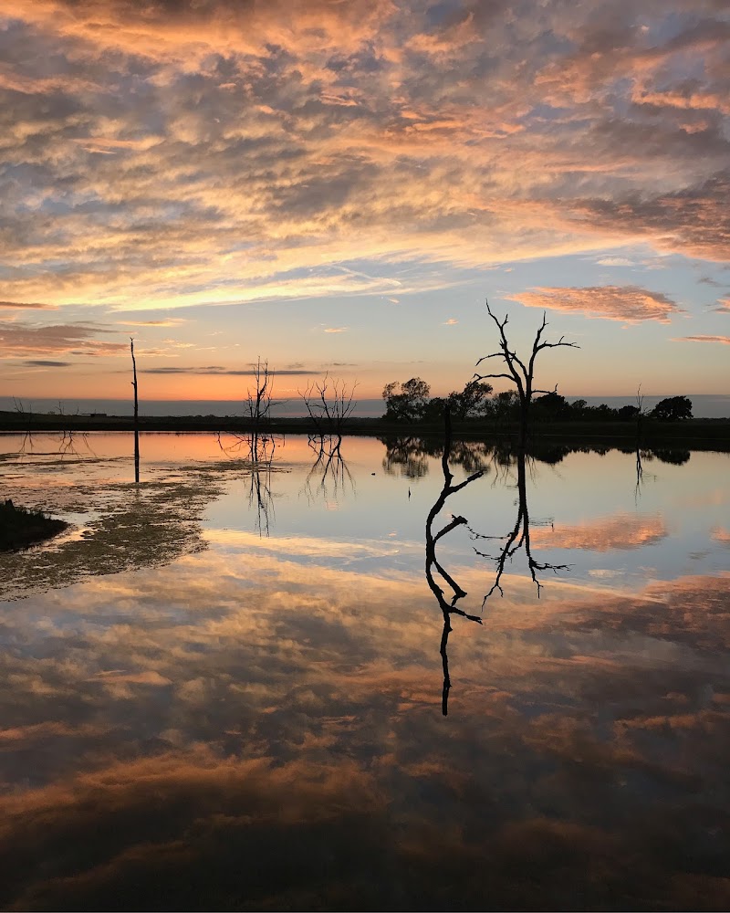 Cotton Mesa Whitetail Hunting Ranch, TX - Photo 3