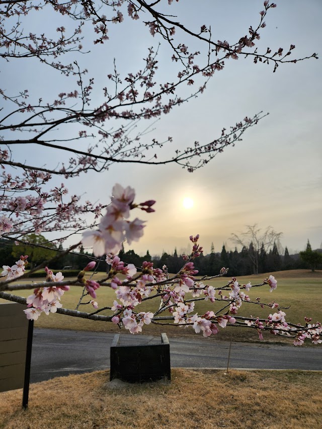 Gifu Cent Field Country Club - Photo 10