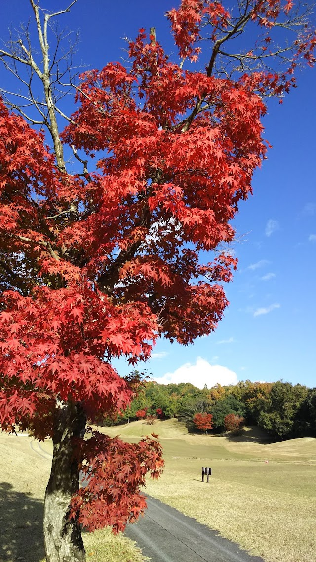 Gifu Cent Field Country Club - Photo 9