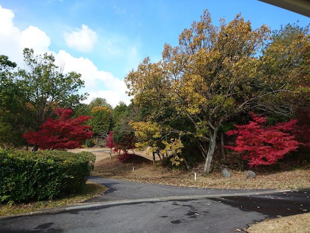 Gifu Cent Field Country Club - Photo 7