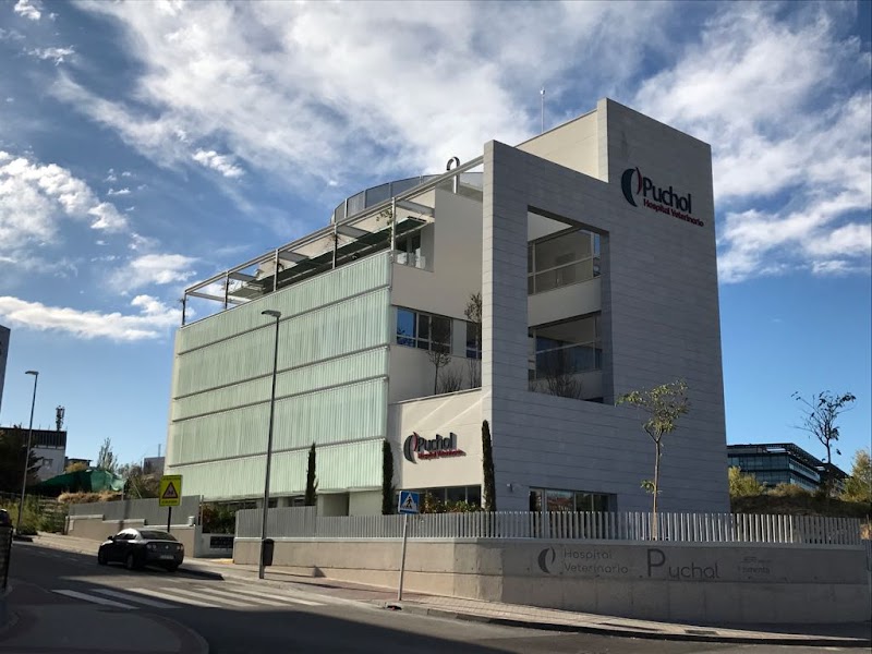 Hospital Veterinario Puchol 🏥 Urgencias 24 horas