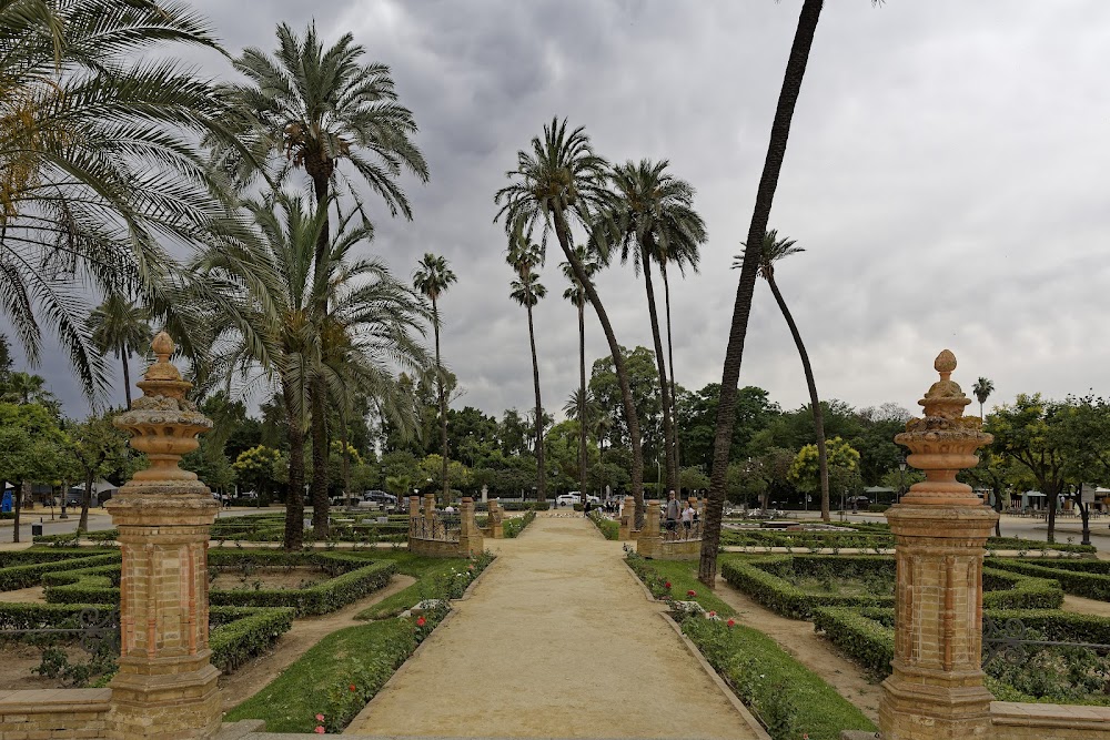 Parque de las Palomas fotoğraf 1