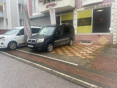 DERİNCE ELEKTRİK LİON TECHNICAL - Elektrikçi