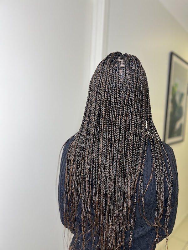 Nelviva Braids photo 1