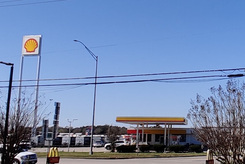 Shell photo 2
