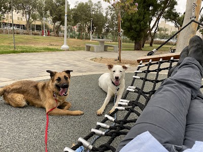 החברים של קורל