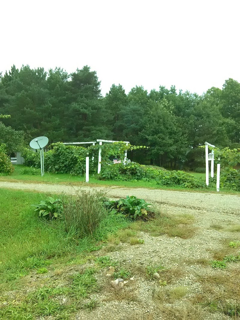 Outback Guest Ranch LLC - Photo 6
