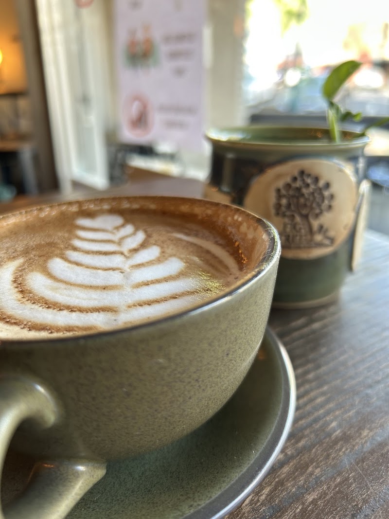 The Fig Tree Coffee, Art, & Music Lounge photo 4