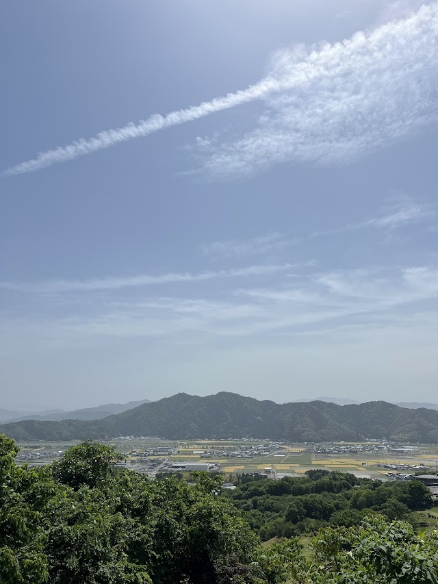 Suginokidai Golf Club - Photo 5
