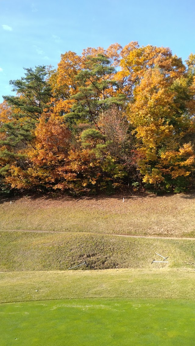 Suginokidai Golf Club - Photo 8