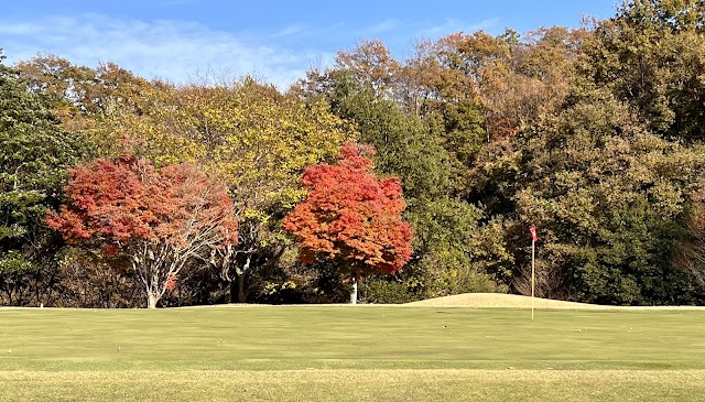 Byron Nelson Country Club - Photo 4