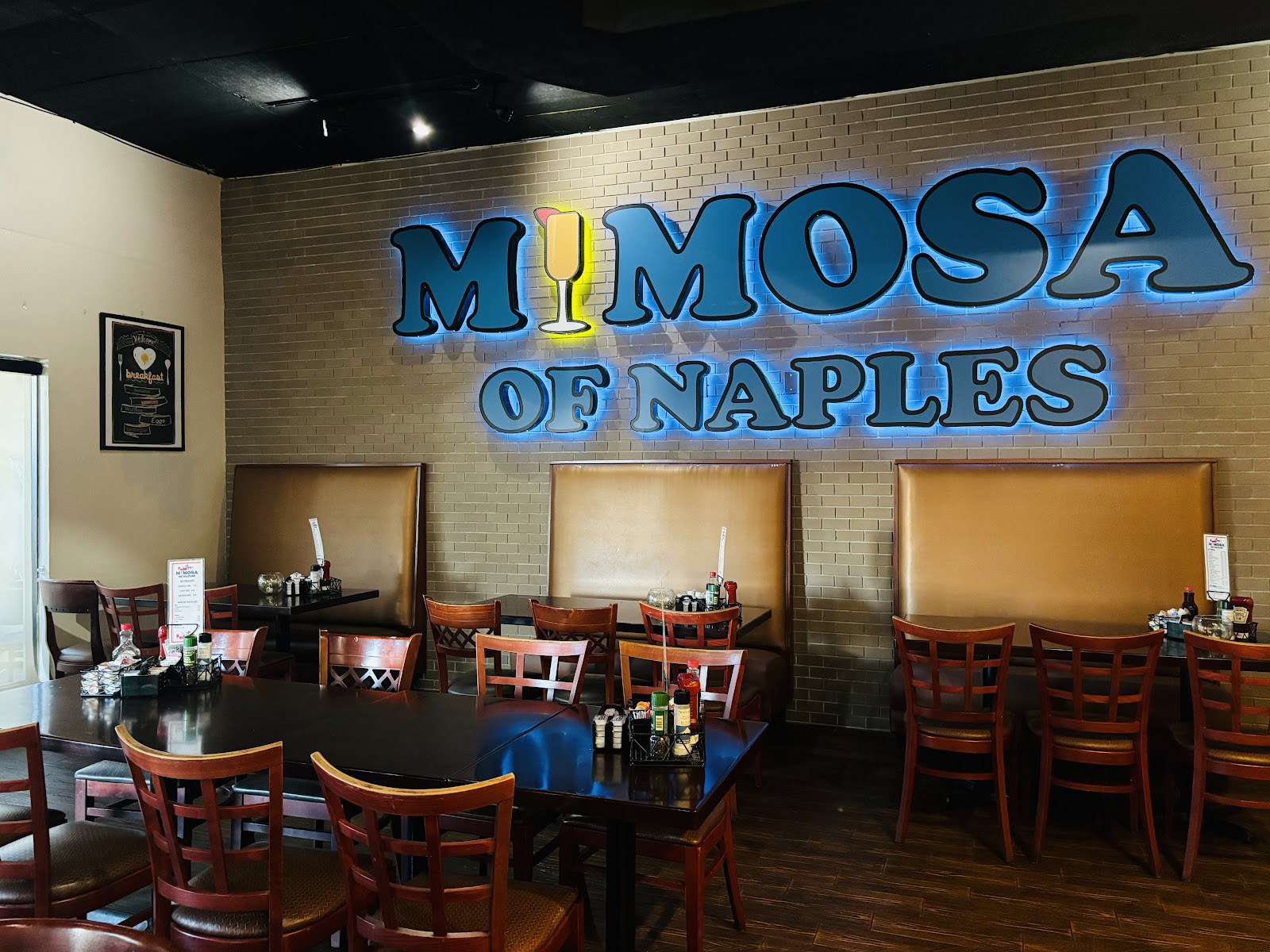 Mimosa of Naples