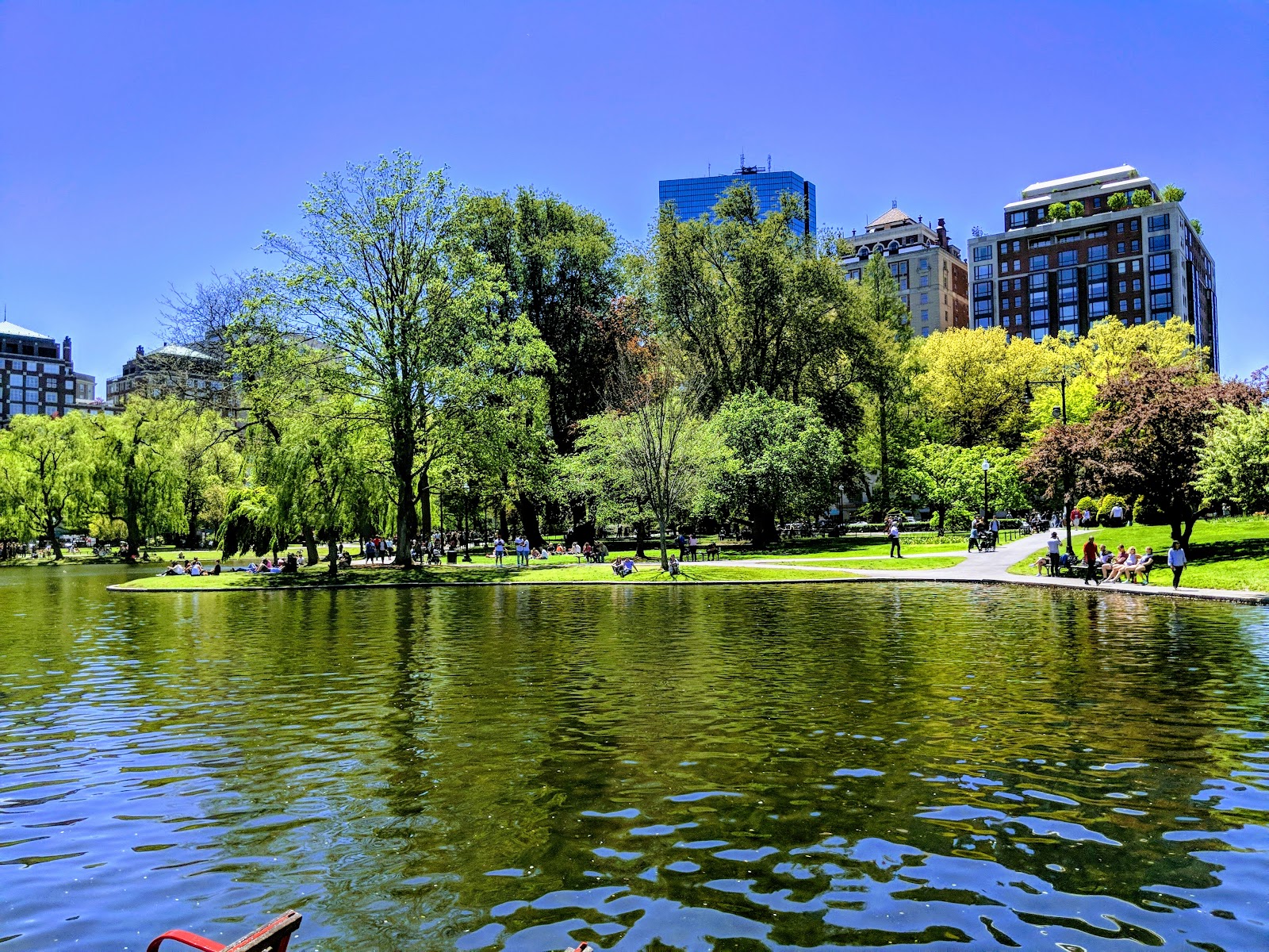 Best Dog-Friendly Hotels in Boston, United States