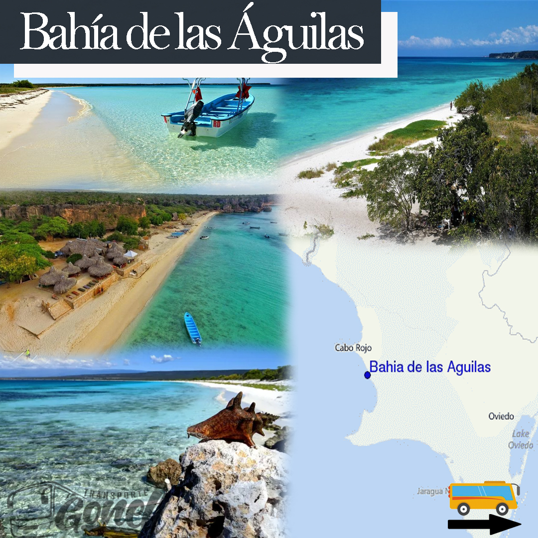 TRANSPORTE GONELL - Imagen 2