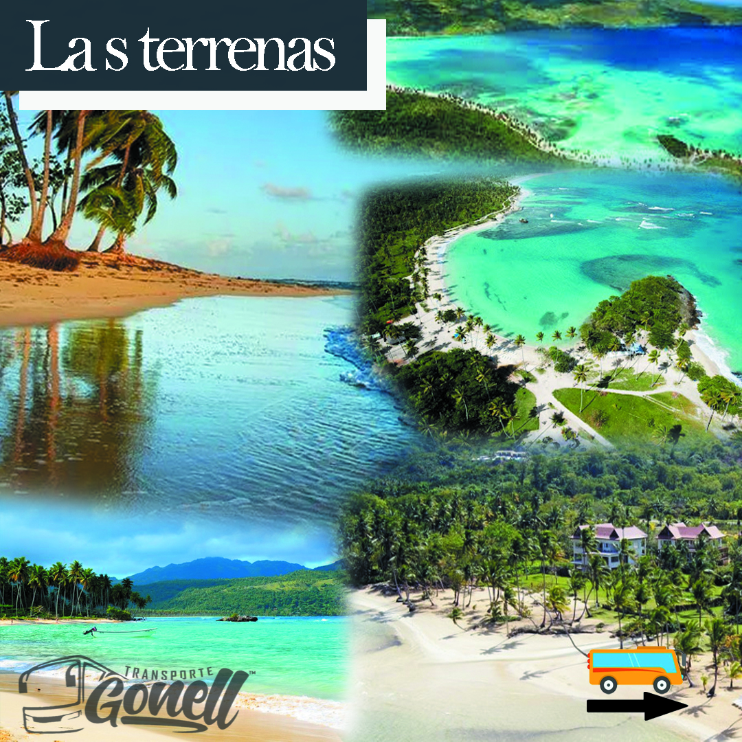 TRANSPORTE GONELL - Imagen 3